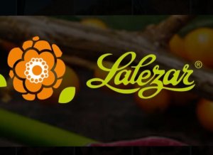 LALEZAR FLOWER